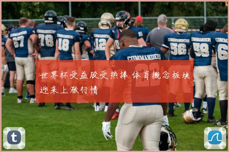 世界杯受益股受热捧 体育概念板块迎来上涨行情