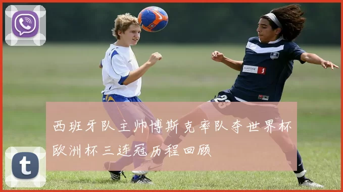 西班牙队主帅博斯克率队夺世界杯欧洲杯三连冠历程回顾